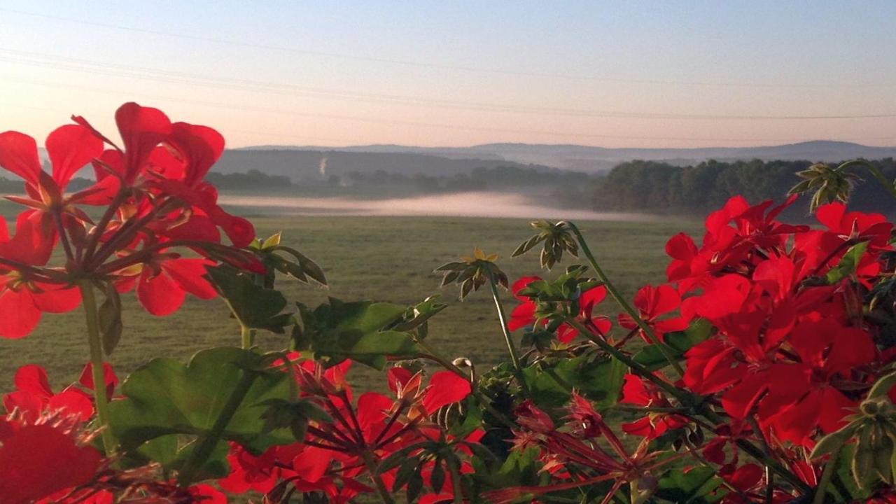 Waldhotel Dierdorf Esterno foto