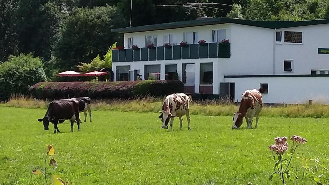 Waldhotel Dierdorf Esterno foto